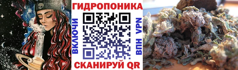 Где купить наркотики Азов Бошки Шишки  COCAIN  СК  МЕФ 
